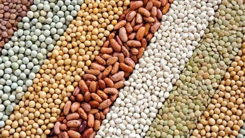 تصویر 1 از خرید و قیمت انواع کنسرو حبوبات طبیعت